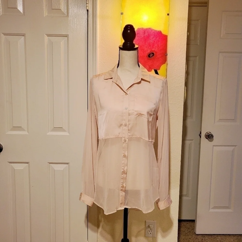 Free People | Sheer Pink Blouse